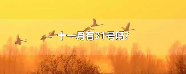 十一月有31号吗?