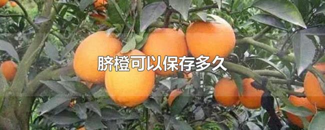 脐橙可以保存多久 脐橙可以保存多久