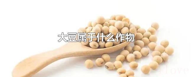 大豆属于什么作物 大豆属于什么作物