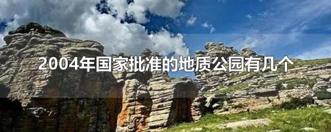 2004年国家批准的地质公园有几个
