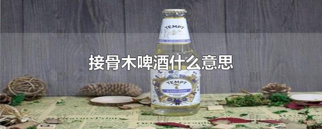 接骨木啤酒什么意思 接骨木啤酒什么意思