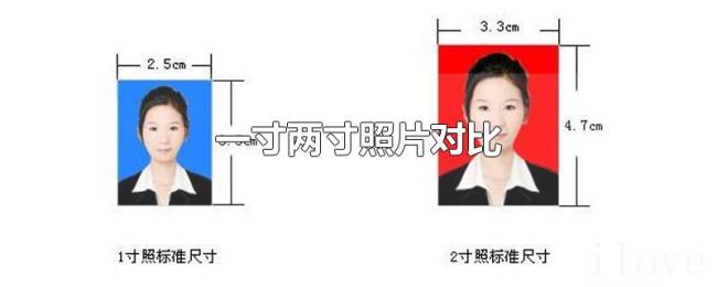 一寸两寸照片对比