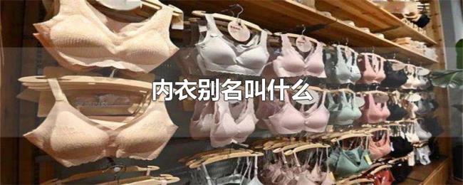 内衣别名叫什么 内衣别名叫什么