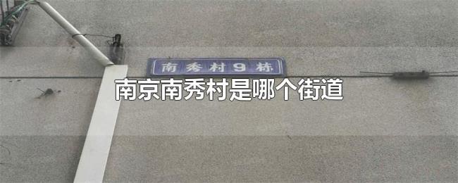 南京南秀村是哪个街道