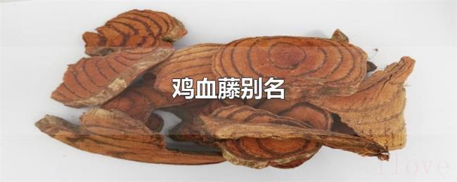鸡血藤别名 鸡血藤别名