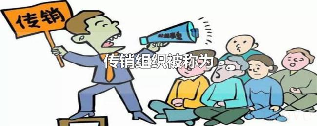 传销组织被称为