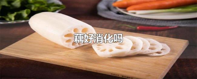 藕好消化吗 藕好消化吗