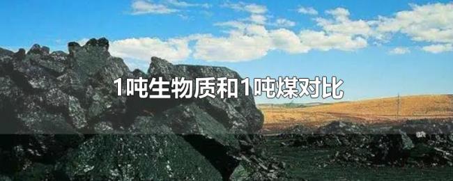 1吨生物质和1吨煤对比 1吨生物质和1吨煤对比