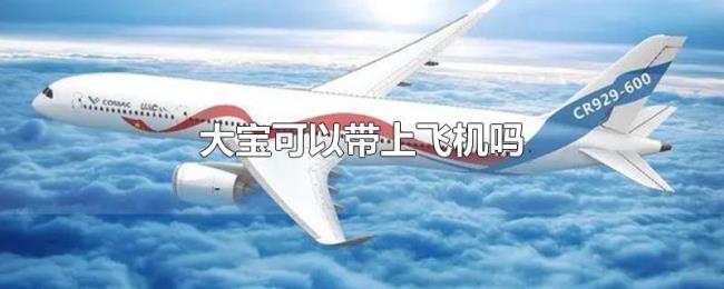 大宝可以带上飞机吗 大宝可以带上飞机吗
