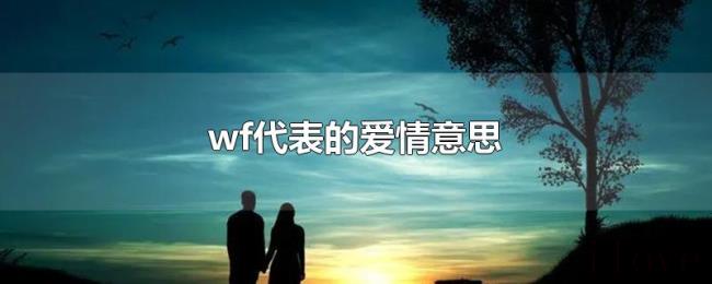 wf代表的爱情意思