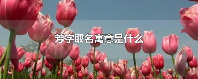芳字取名寓意是什么