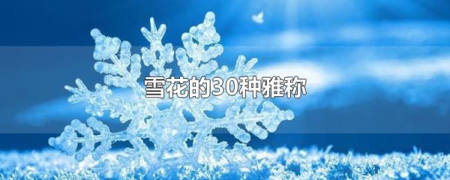 雪花的30种雅称 雪花的30种雅称