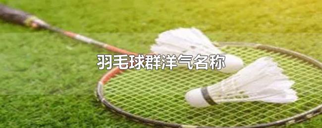羽毛球群洋气名称