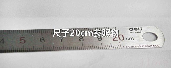 尺子20cm参照物