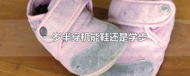 一岁半穿机能鞋还是学步 一岁半穿机能鞋还是学步