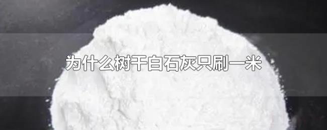 为什么树干白石灰只刷一米 为什么树干白石灰只刷一米