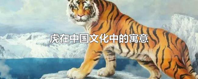 虎在中国文化中的寓意