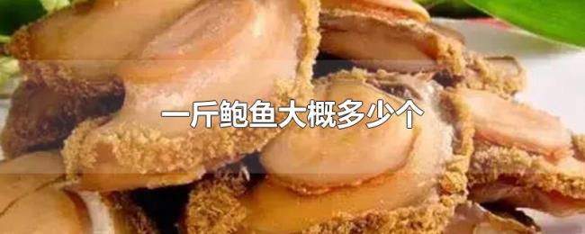 一斤鲍鱼大概多少个 一斤鲍鱼大概多少个