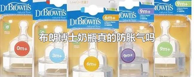 布朗博士奶瓶真的防胀气吗 布朗博士奶瓶真的防胀气吗