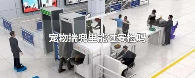 宠物揣兜里能过安检吗