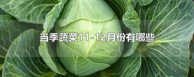 当季蔬菜11-12月份有哪些 当季蔬菜11-12月份有哪些
