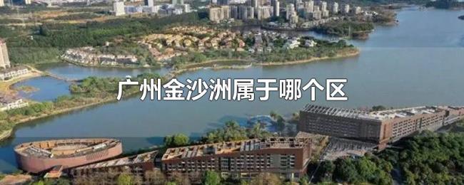 广州金沙洲属于哪个区