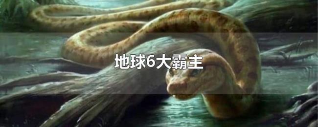 地球6大霸主