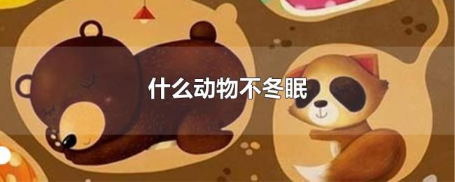 什么动物不冬眠 什么动物不冬眠