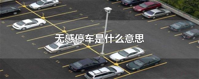 无感停车是什么意思 无感停车是什么意思