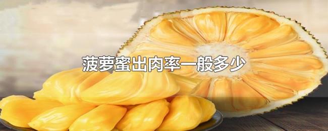 菠萝蜜出肉率一般多少