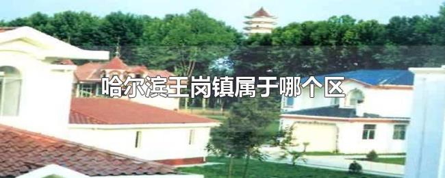 哈尔滨王岗镇属于哪个区 哈尔滨王岗镇属于哪个区