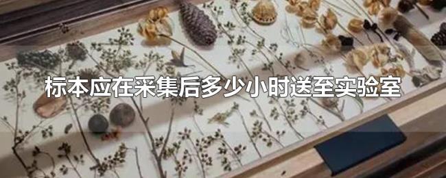 标本应在采集后多少小时送至实验室
