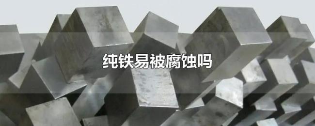 纯铁易被腐蚀吗