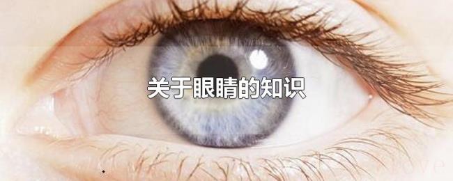 关于眼睛的知识