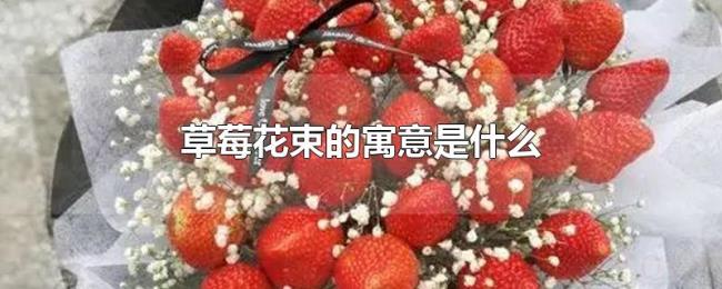 草莓花束的寓意是什么