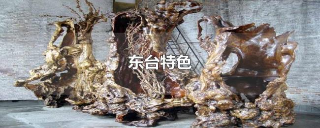 东台特色 东台特色