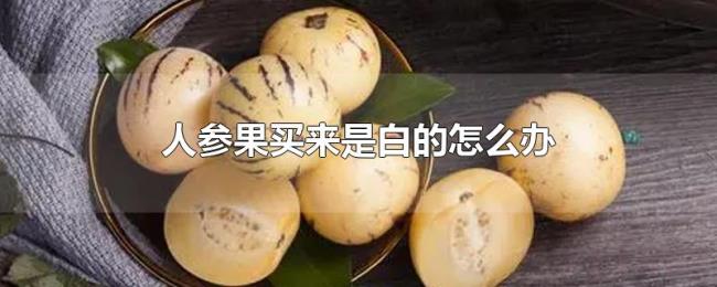 人参果买来是白的怎么办 人参果买来是白的怎么办
