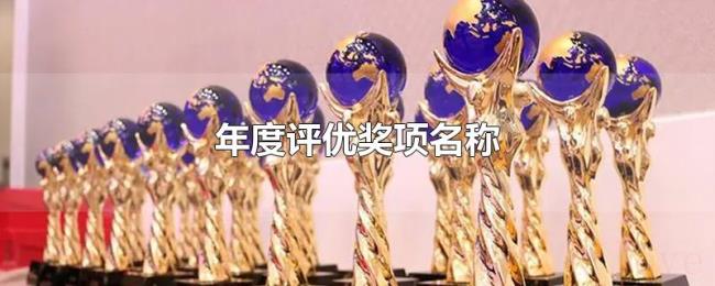 年度评优奖项名称 年度评优奖项名称