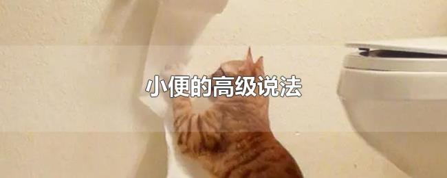 小便的高级说法