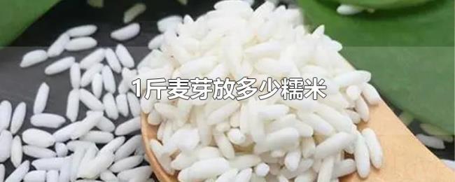 1斤麦芽放多少糯米