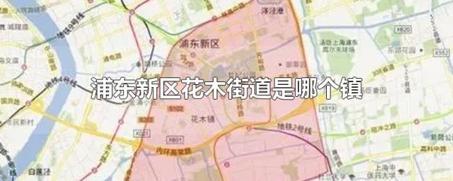 浦东新区花木街道是哪个镇 浦东新区花木街道是哪个镇