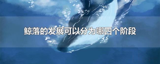鲸落的发展可以分为哪四个阶段 鲸落的发展可以分为哪四个阶段