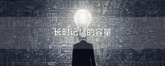 长时记忆的容量 长时记忆的容量