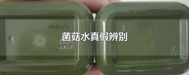 菌菇水真假辨别 菌菇水真假辨别