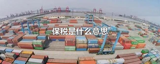 保税是什么意思 保税是什么意思