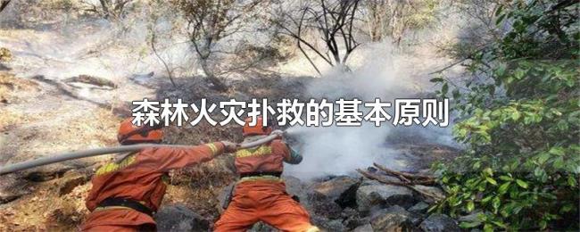 森林火灾扑救的基本原则 森林火灾扑救的基本原则