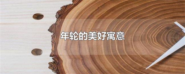 年轮的美好寓意 年轮的美好寓意