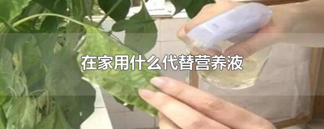 在家用什么代替营养液 在家用什么代替营养液