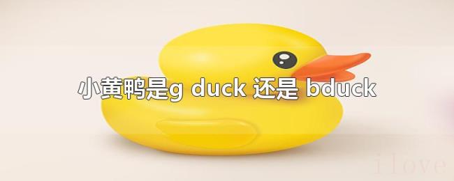 小黄鸭是g（duck 还是 bduck）