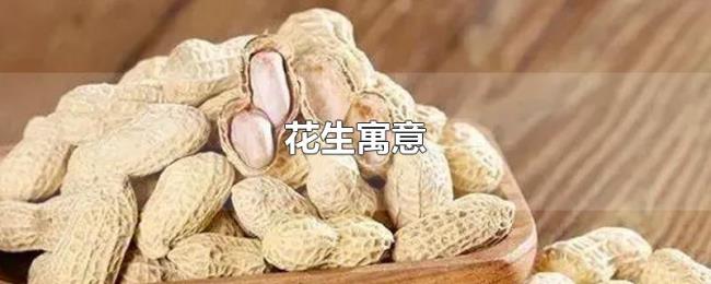 花生寓意 花生寓意